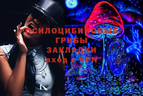 2c-b Алзамай